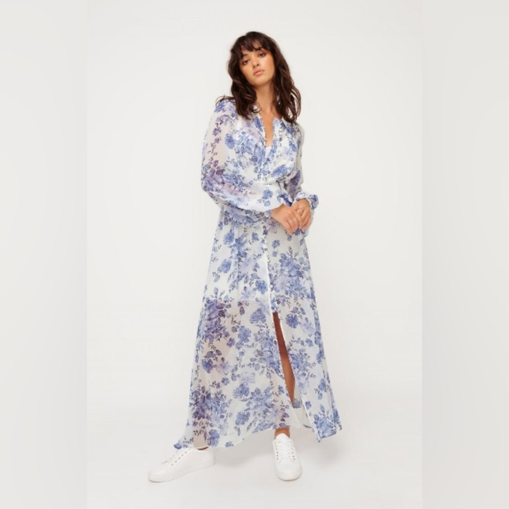 Japna Sheer Floral Maxi Dress Small